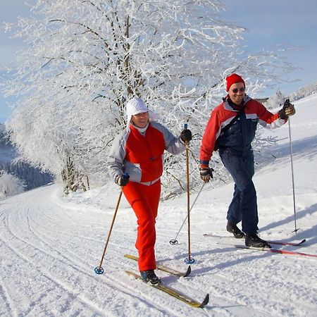 אוברוויזנטל Ahorn Hotel Am Fichtelberg מראה חיצוני תמונה
