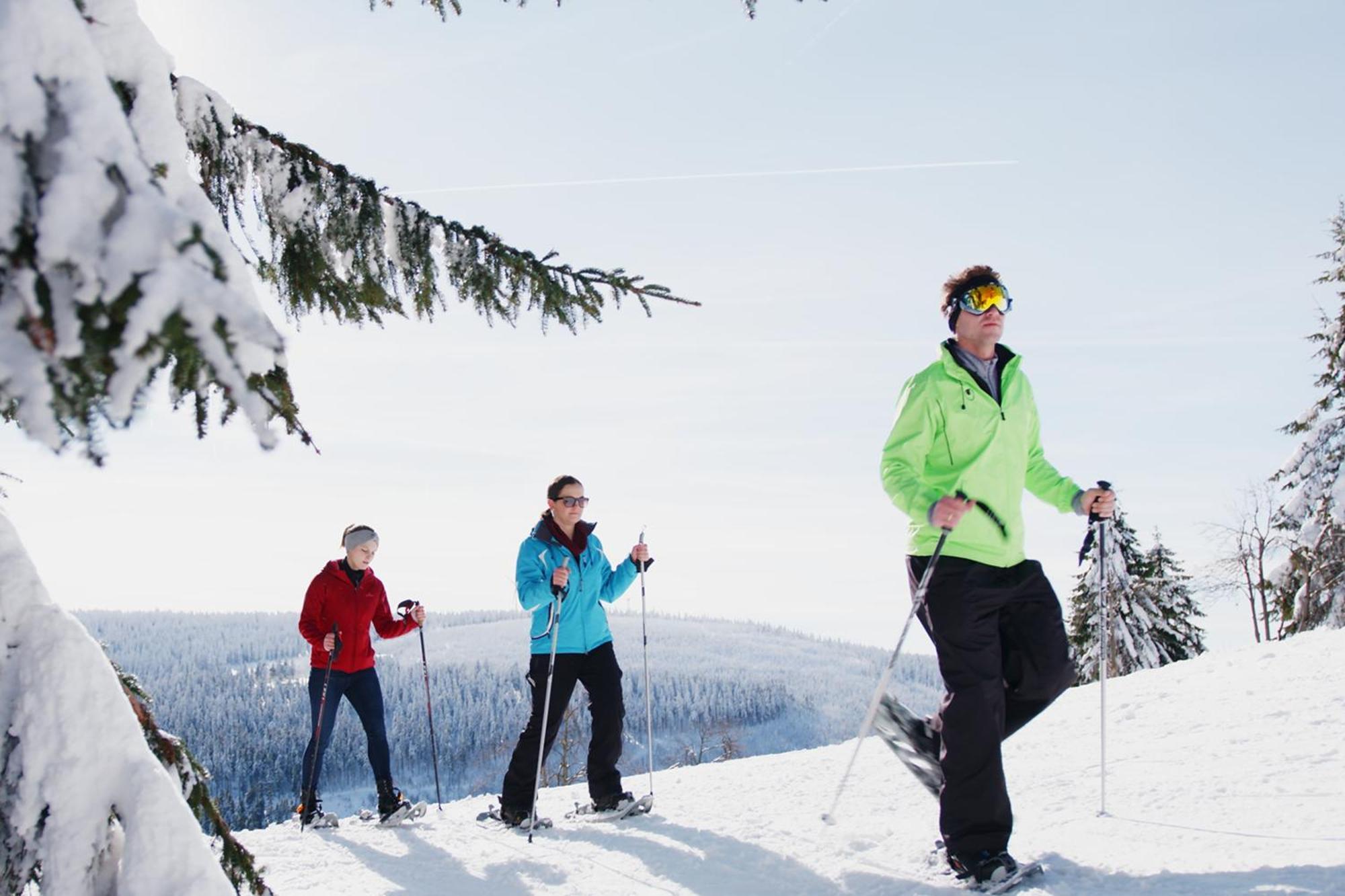 אוברוויזנטל Ahorn Hotel Am Fichtelberg מראה חיצוני תמונה